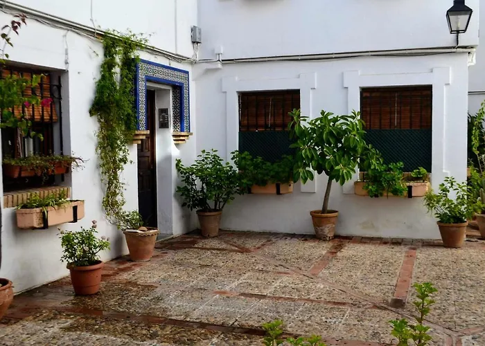 El Patio De La Aljama
